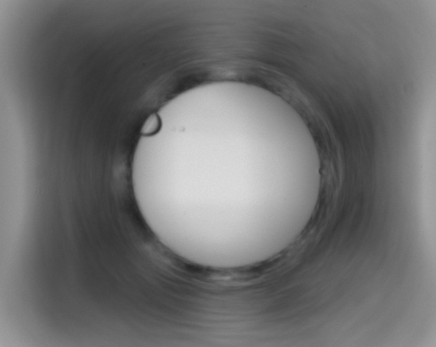 X0000114650557200910201003