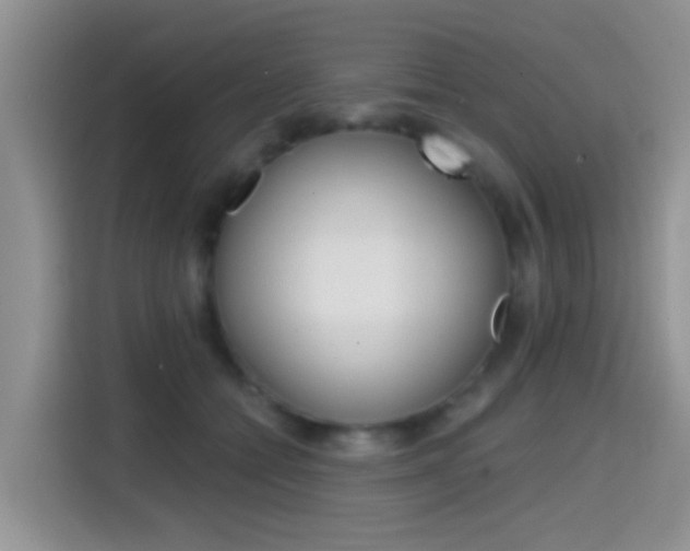 X0000114650558200910201003