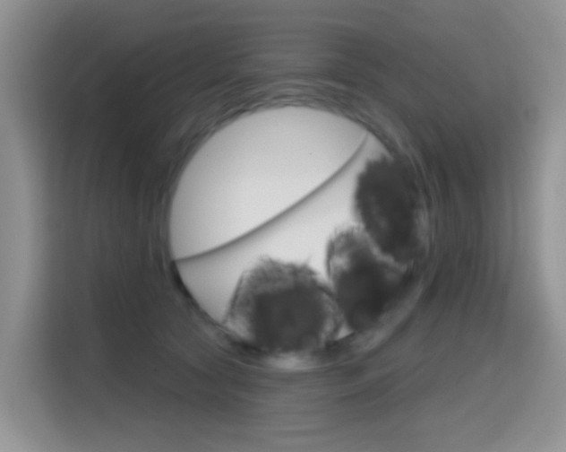 X0000114650561200910201003