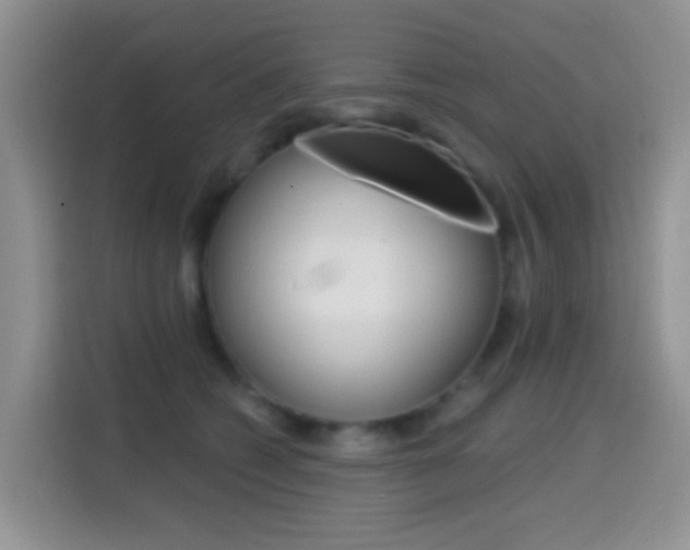 X0000114650562200910201003