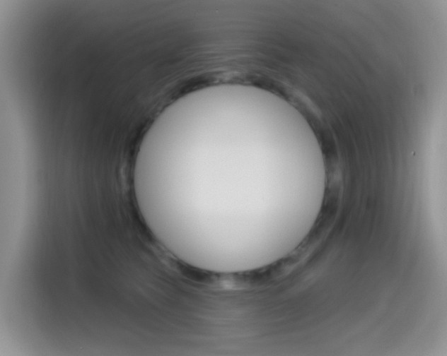 X0000114650565200910201003