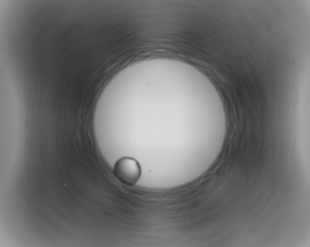 X0000114650566200910201003