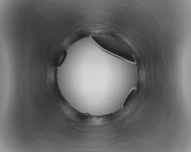 X0000114650570200910201003