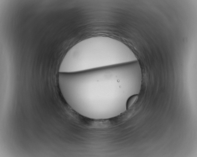 X0000114650571200910201003