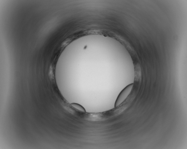 X0000114650573200910201003