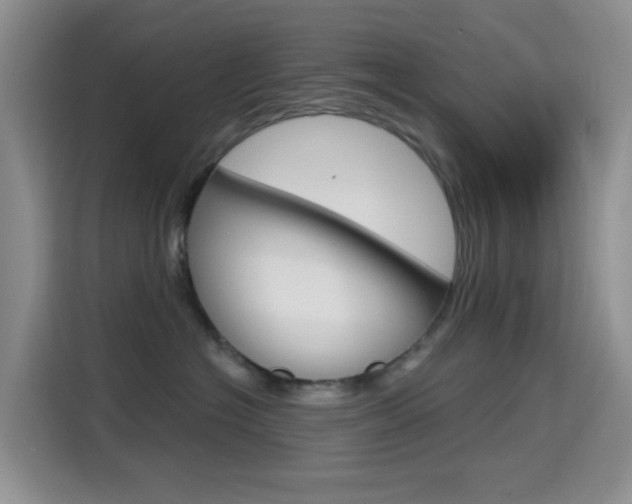 X0000114650574200910201003
