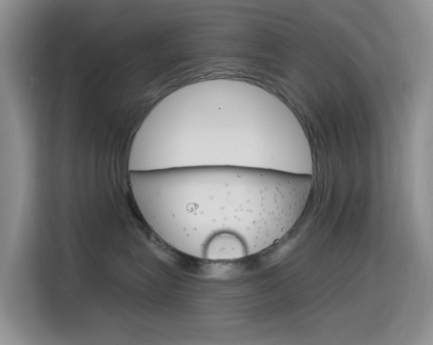 X0000114650575200910201003