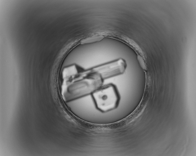 X0000114650577200910201002
