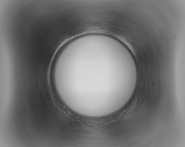 X0000114650579200910201002