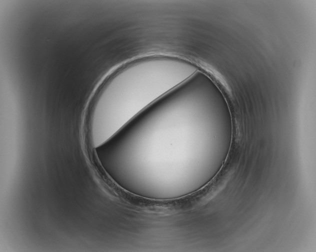 X0000114650580200910201002