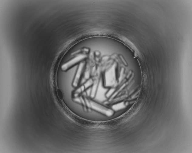 X0000114650581200910201002