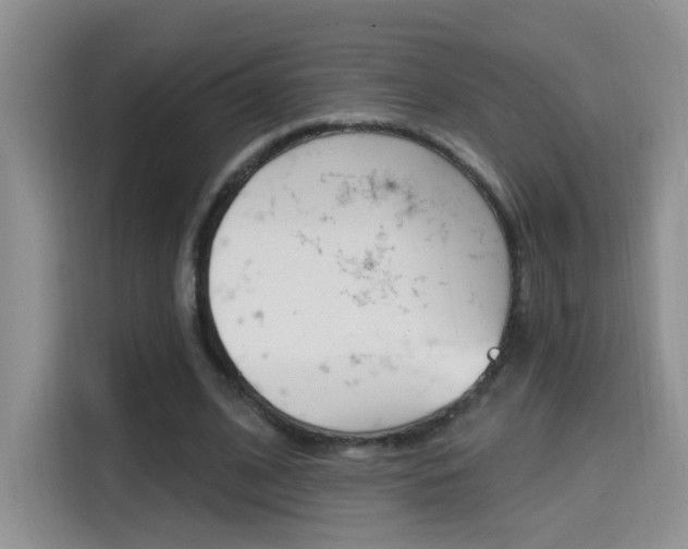 X0000114650584200910201002