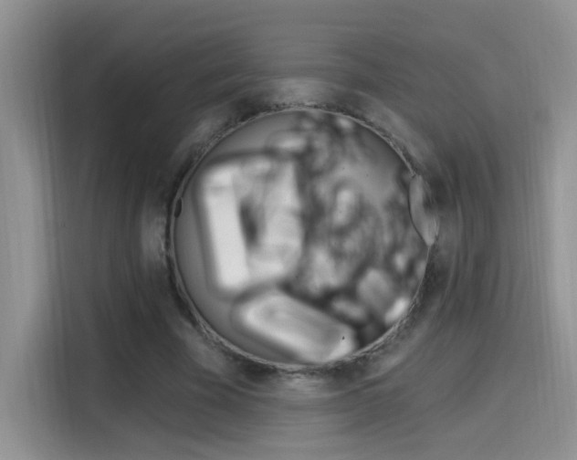 X0000114650585200910201002