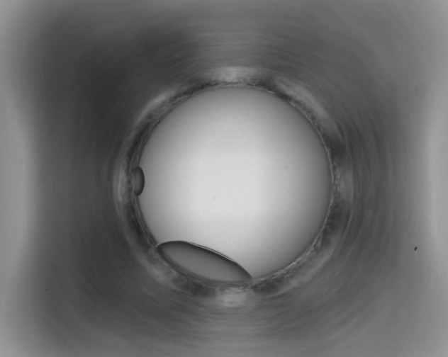 X0000114650587200910201002