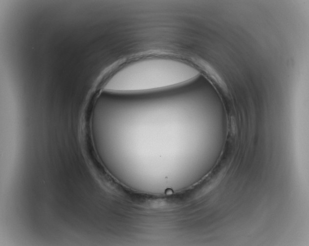 X0000114650588200910201002
