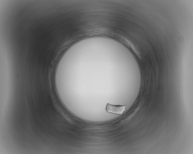 X0000114650589200910201002