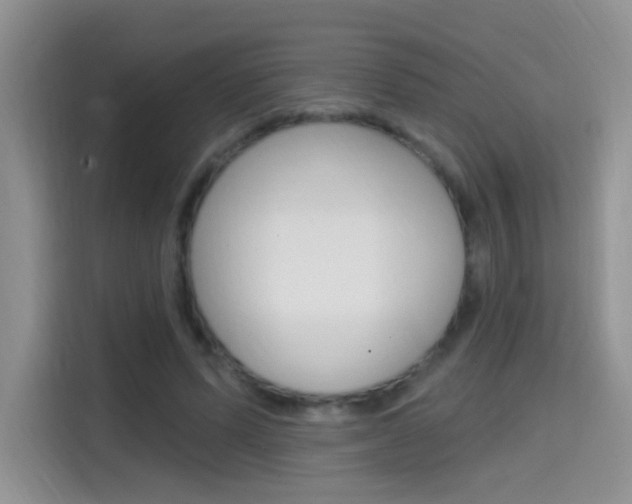 X0000114650591200910201002