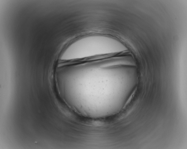 X0000114650592200910201002
