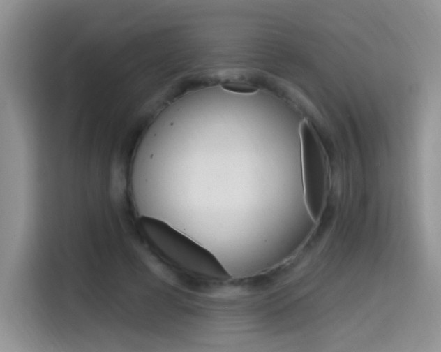 X0000114650593200910201002