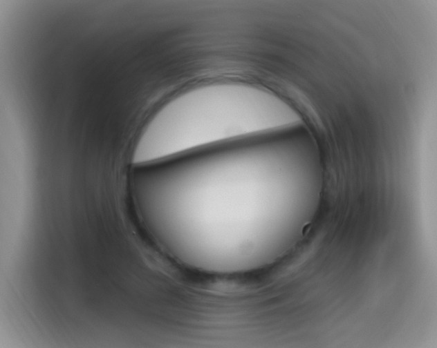 X0000114650596200910201002