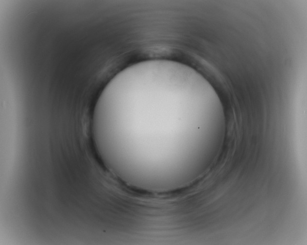 X0000114650604200910201002
