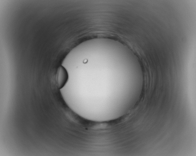 X0000114650609200910201002