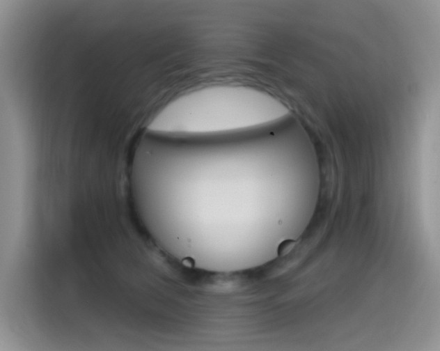 X0000114650612200910201002