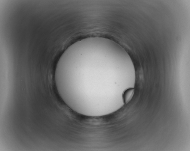 X0000114650615200910201002