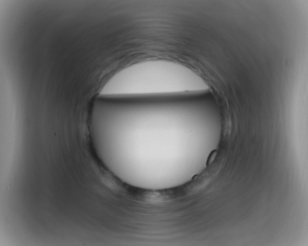 X0000114650616200910201002