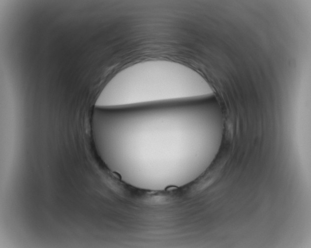 X0000114650620200910201002