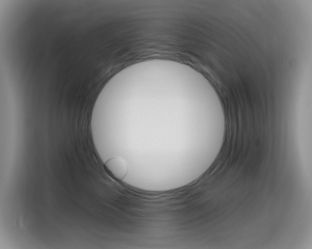 X0000114650621200910201002