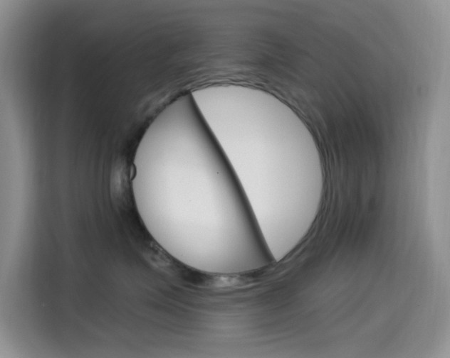 X0000114650623200910201002