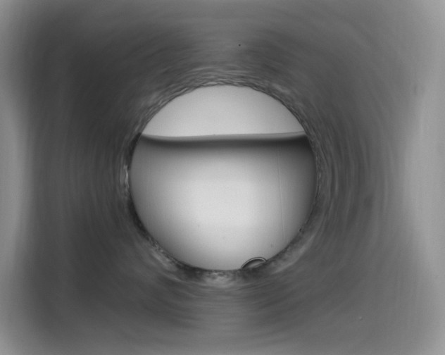 X0000114650624200910201002