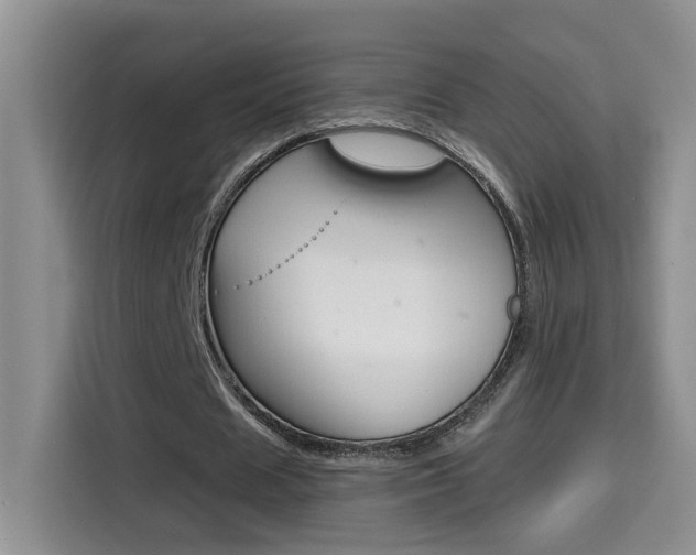 X0000114650625200910201001