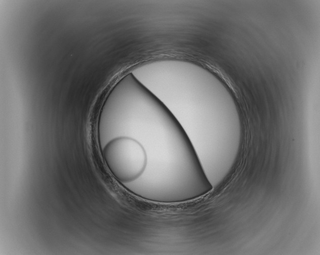 X0000114650626200910201001