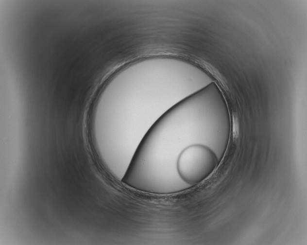 X0000114650627200910201001