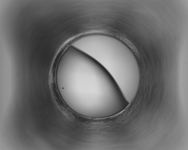 X0000114650628200910201001