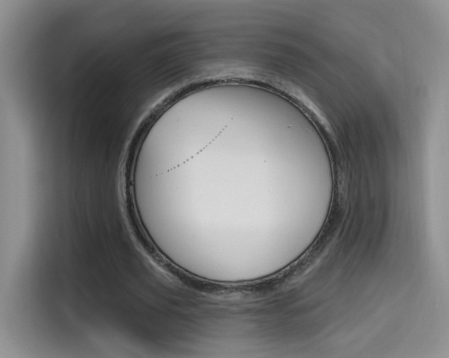 X0000114650629200910201001