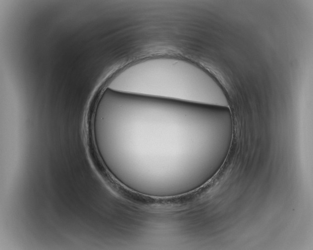 X0000114650630200910201001