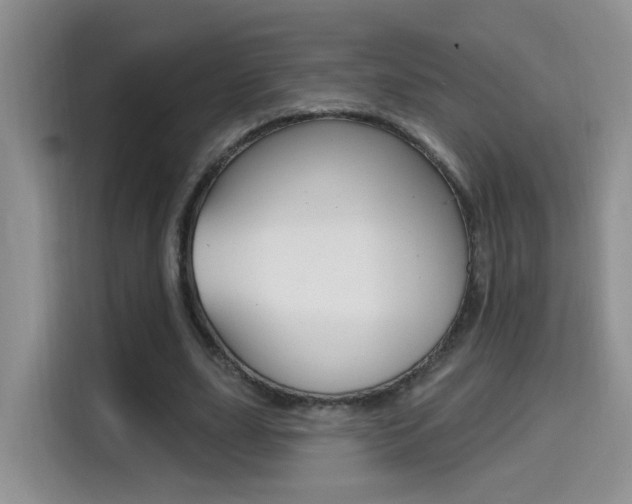 X0000114650631200910201001