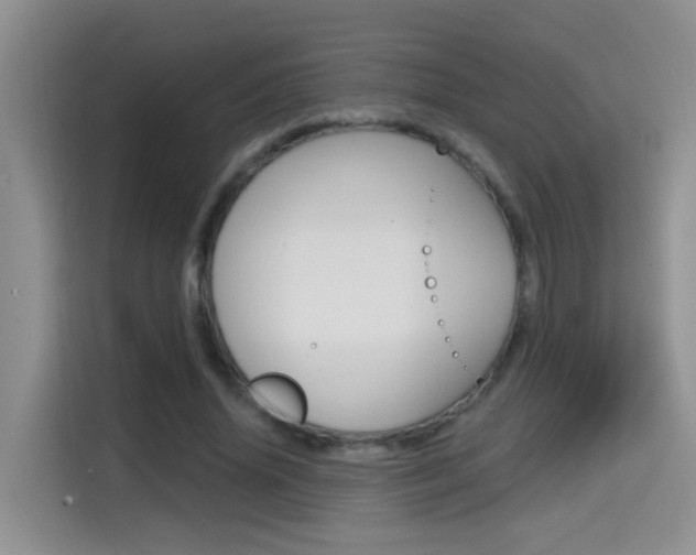 X0000114650636200910201001