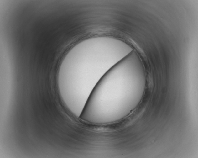 X0000114650637200910201001