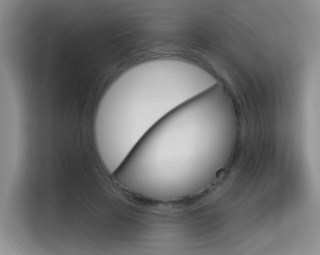 X0000114650641200910201001