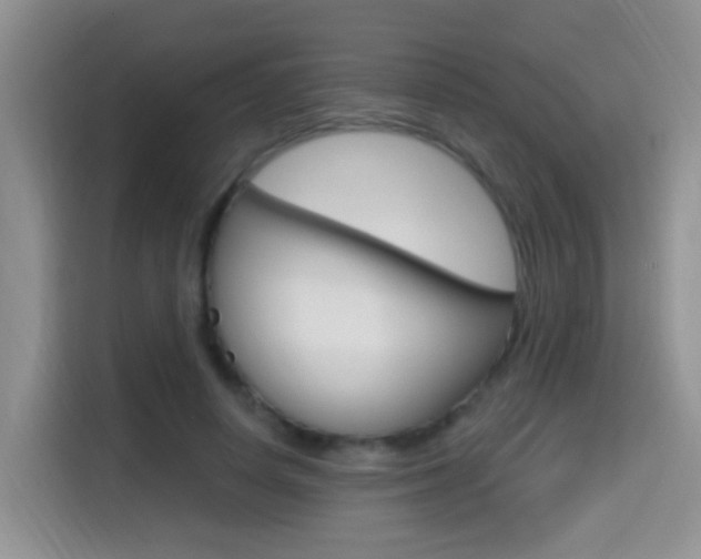X0000114650642200910201001