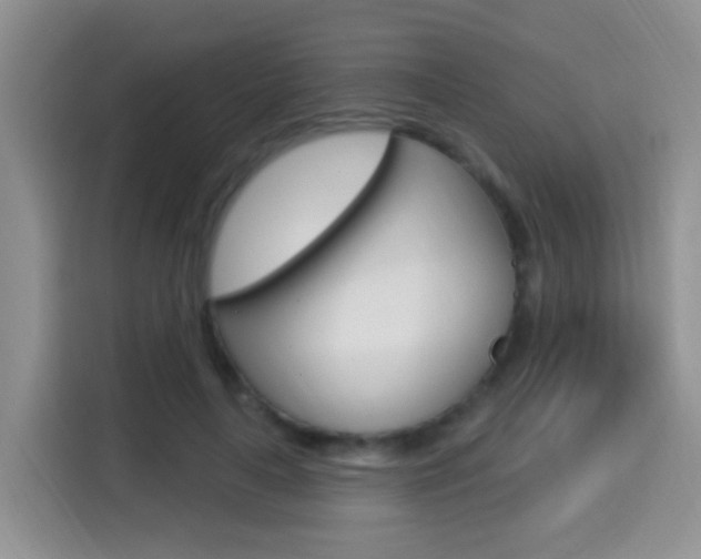 X0000114650643200910201001