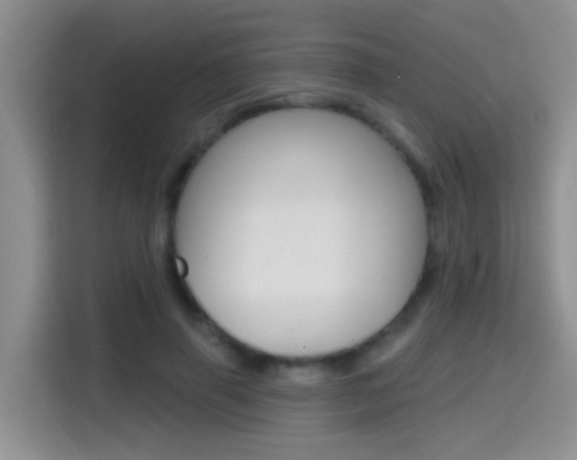 X0000114650645200910201001