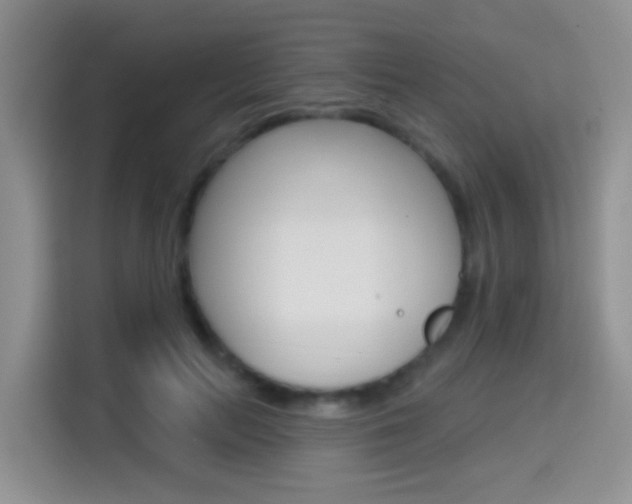 X0000114650647200910201002