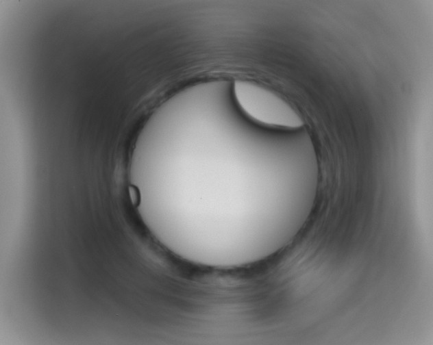 X0000114650648200910201002