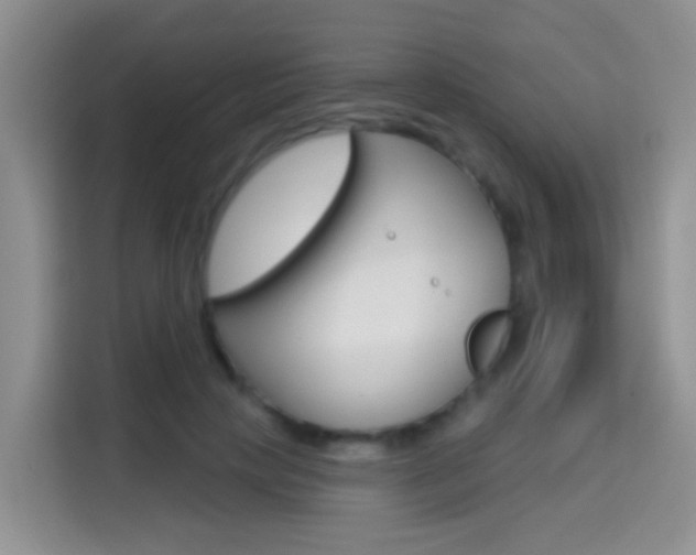 X0000114650649200910201002