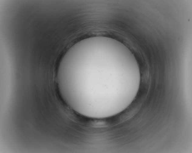 X0000114650651200910201002